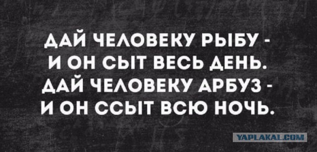 Анекдоты, соц-сети и картинки с надписями