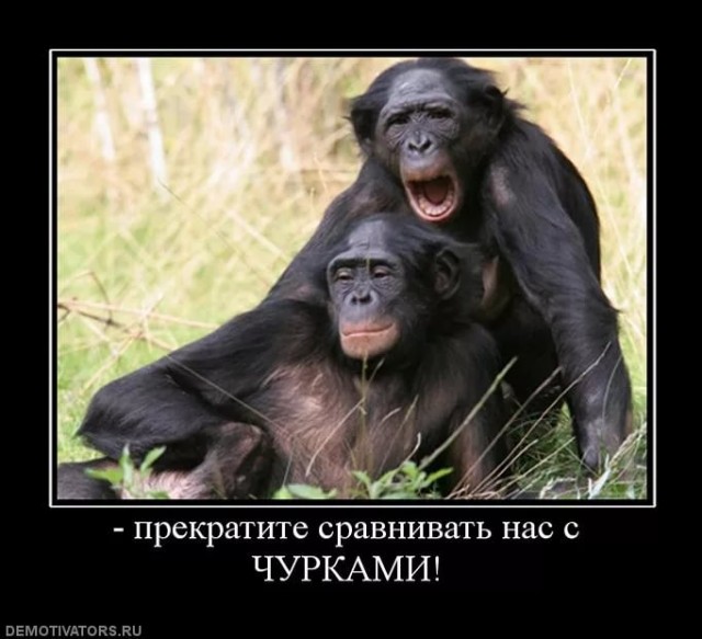 Алло, мужик, мне позвонить нужно! Срочно!