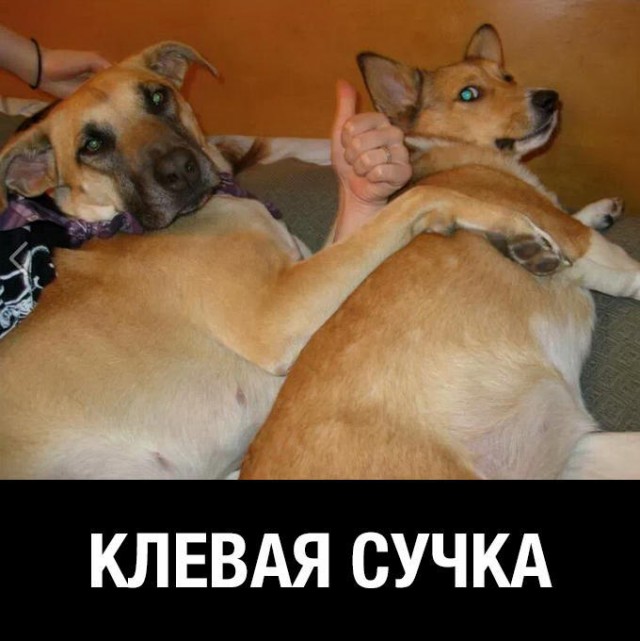 Прелестинц к Пятнице!