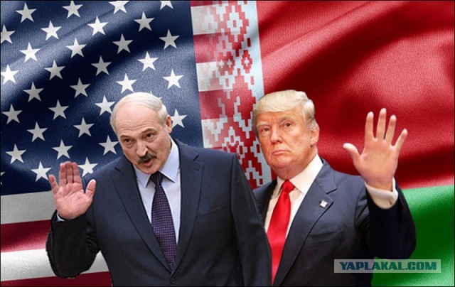 Официальный логотип выборов в США 2020