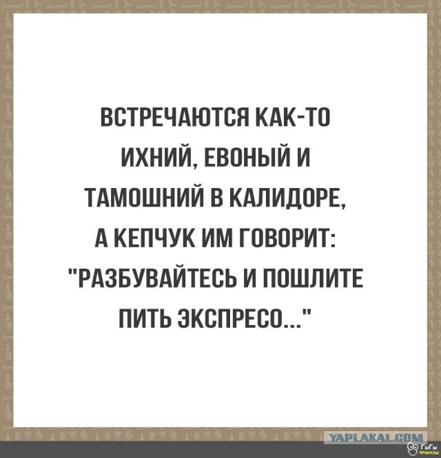 Сидней Австралия Воробьи ихние