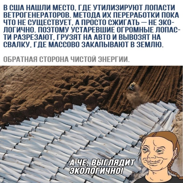 «Хрюкают, ползают и гадят»