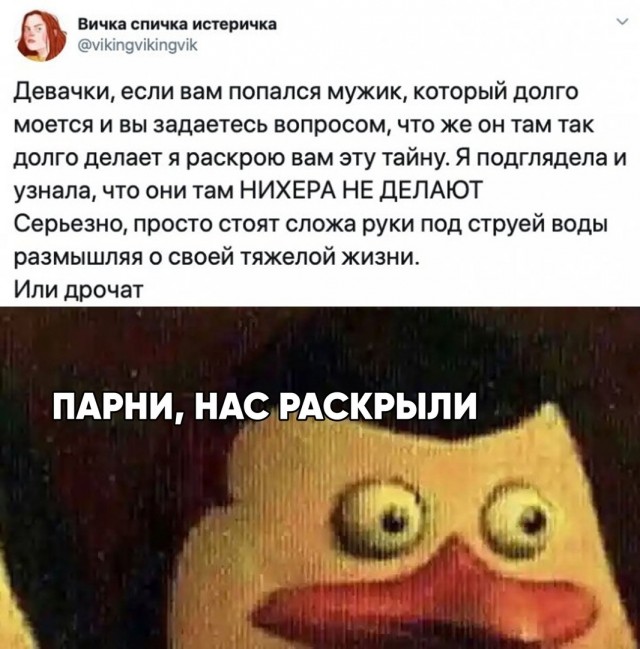 Весёлый полтишок 20.03