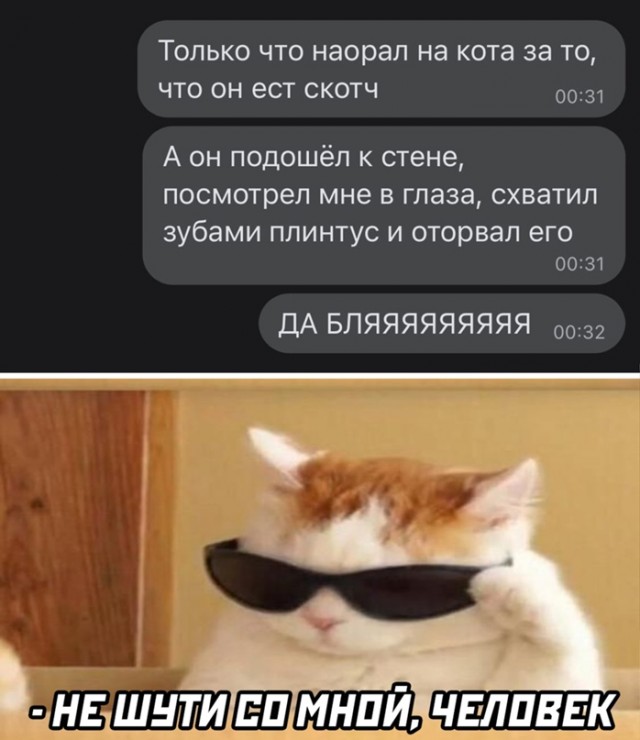 Весёлый полтишок 26.03