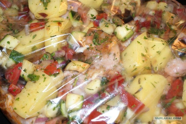 Ноги, хвосты… главное – крылья!, Кура-International–2, куриные крылья