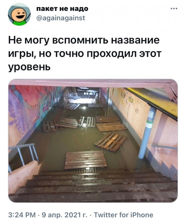 Всяческие картинки