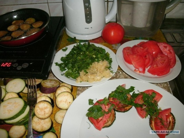 Пятничные посиделки на теплотрассе ©