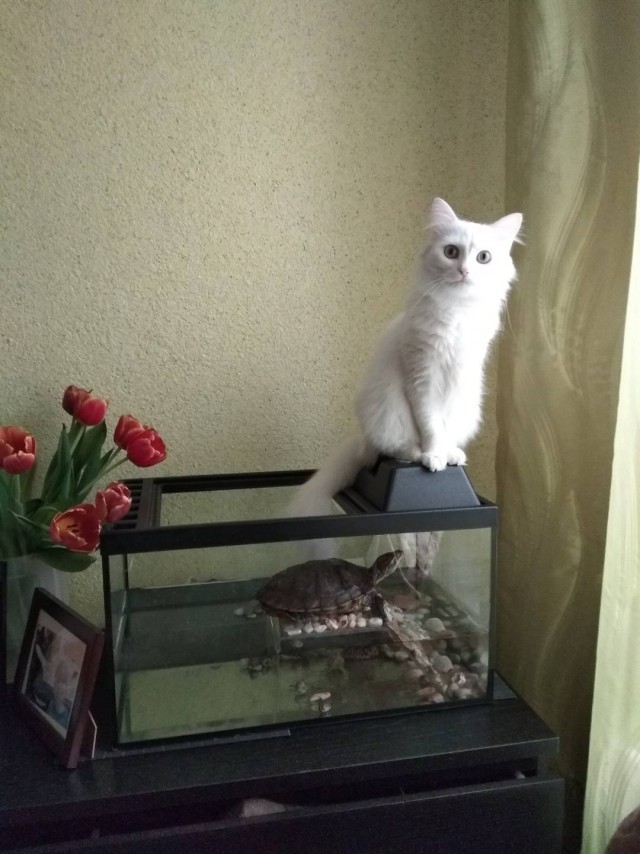 Наши добытчики и их добыча