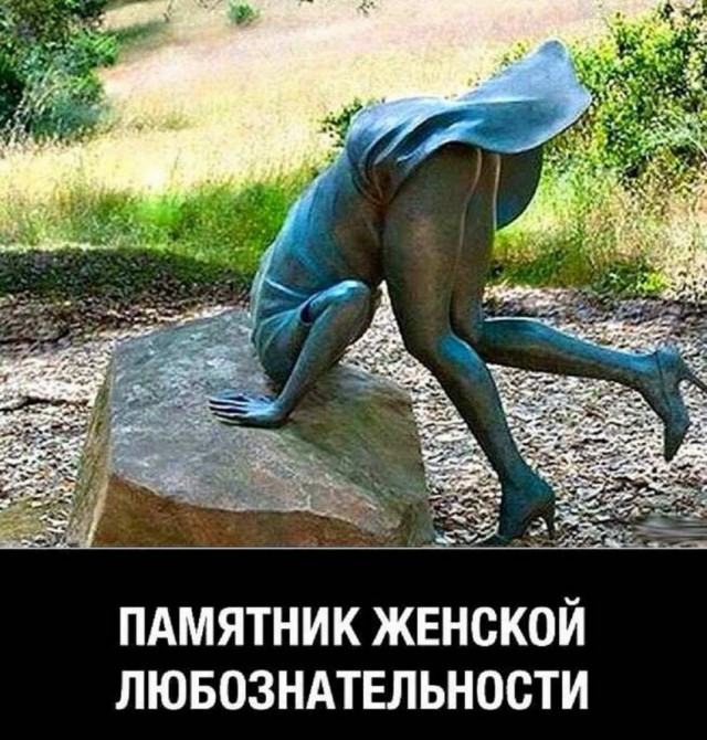 Картинки и мемы для настроения 05.10.2021