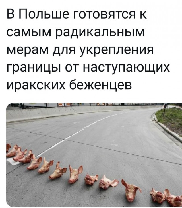Из Арабских Эмиратов в Беларусь летят полные самолеты мужчин-мигрантов