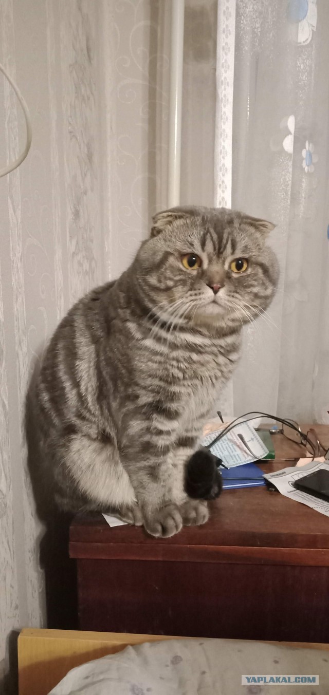 Одного фото пост