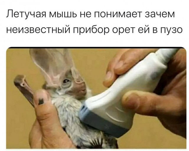 Четверг, а значит пора начинать деградировать...