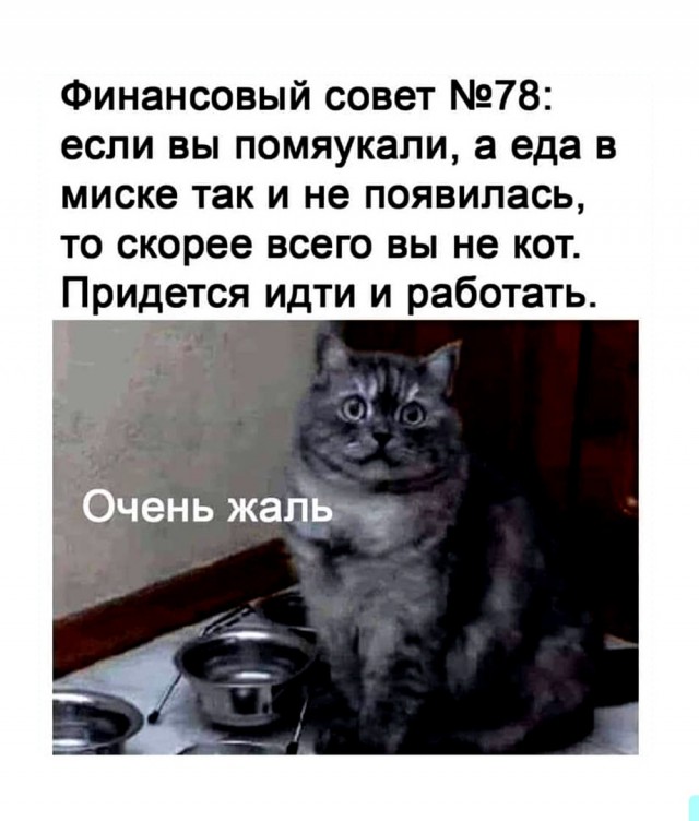 Чуток картинок 04.02.22
