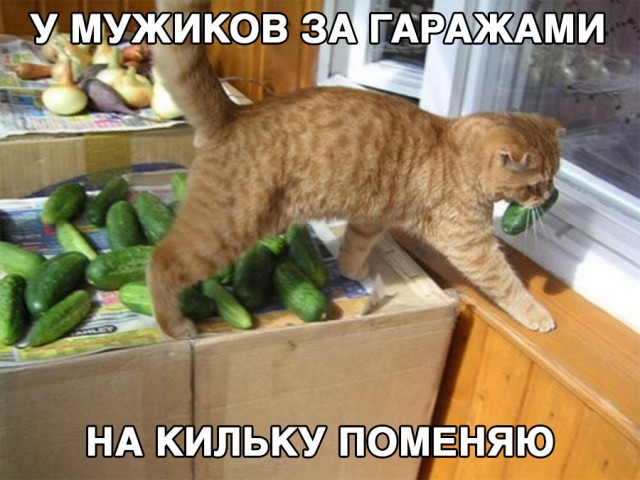 Немного картинок и прочей хреноты Vol. 6