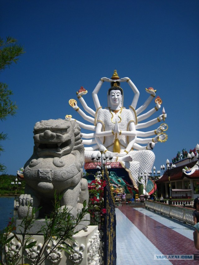 Такой разный остров Самуи