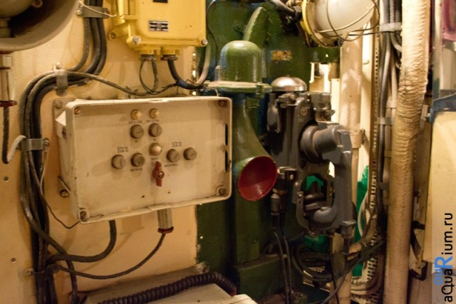 СПб глазами уставшего туриста...