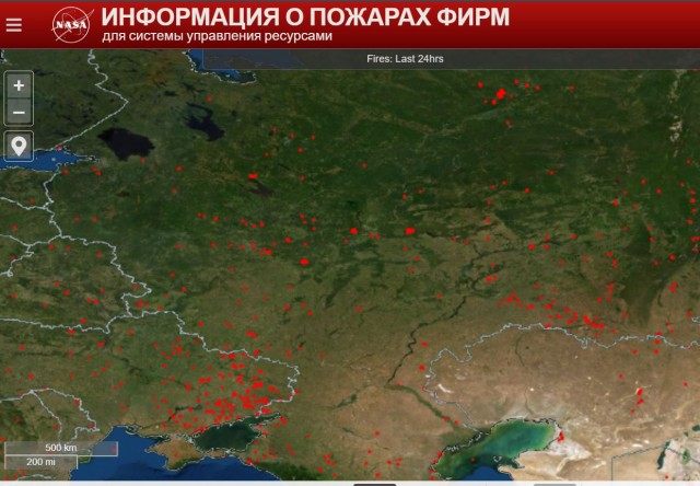 Пандемия съехавших крыш - разновидности болезни. Россия и мир. Часть 40.