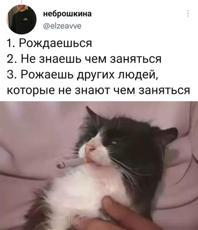 Весёлый полтишок 10.10.22
