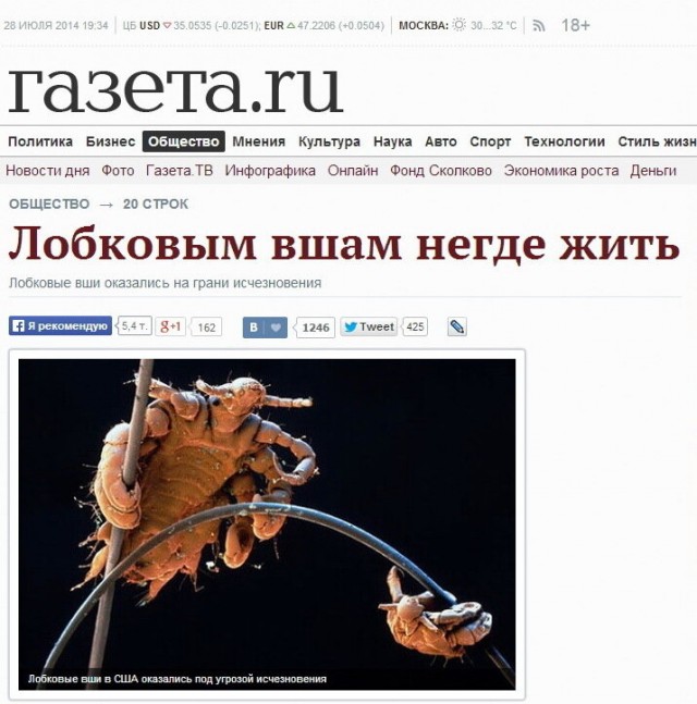 Мандавошки