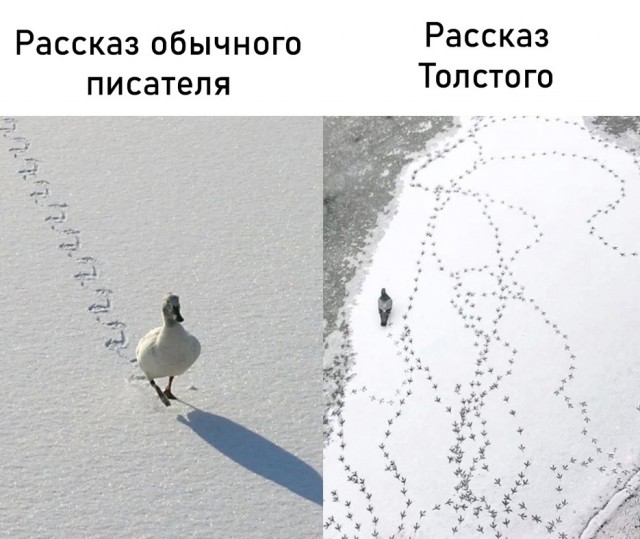 Весёлый полтишок 16.12.2022