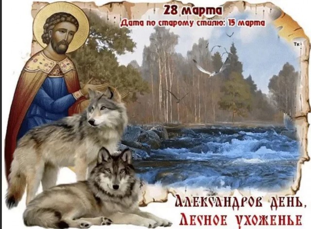 Победная поступь идиотизма по планете – том 11