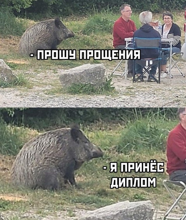 Немного картинок для настроения - 165