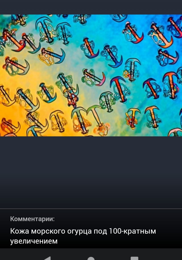 17 познавательных фото, помогающих утолить жажду знаний не хуже холодной минералки в знойный день