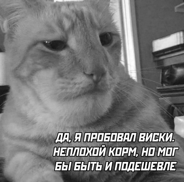 Всего понемногу. От 24.08.2023