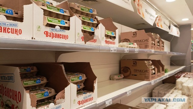 Несушки знают о долларе