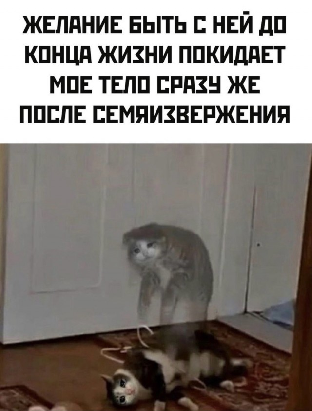 Отряд быстрого деградирования