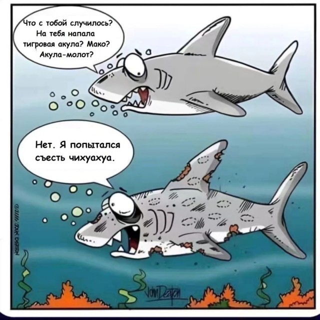 Отряд быстрого деградирования