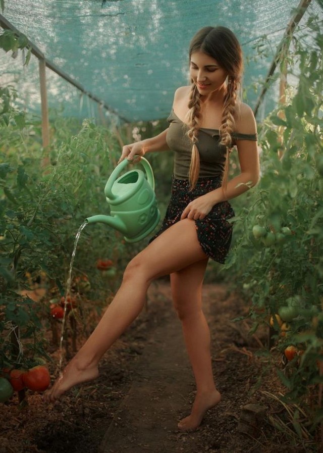 ФотоВинегрет