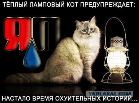 "Алло, вы в Германию наковальню продали. Надпись на ней правильная?" Почему немцев всполошила надпись на советской наковальне
