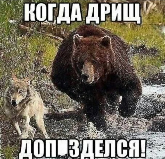 Завалялось тут случайно немного забавных картинок
