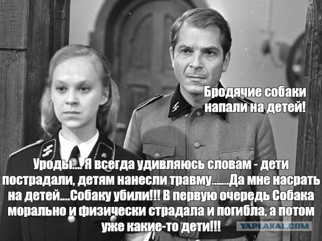 «Бабу Аллу», псы которой загрызли девочку в Ставрополе, освободили в зале суда