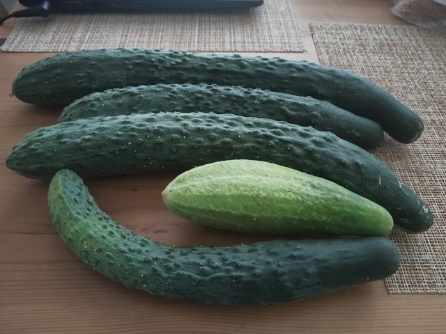 Закусь поспела