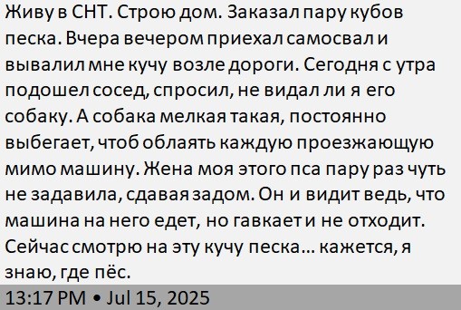 История одного пса⁠⁠