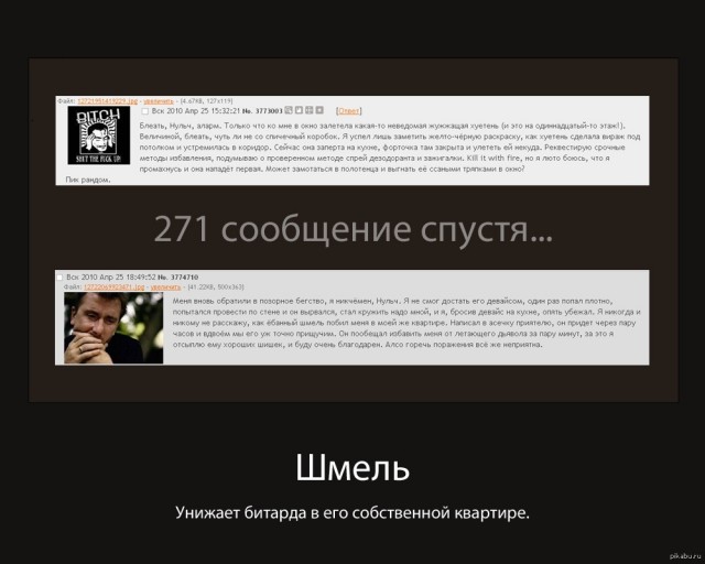 Друзья, как поймать/прогнать шершня?