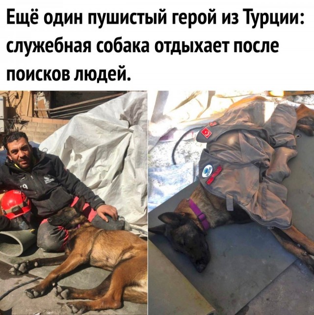 Так себе картинки 08.09.25