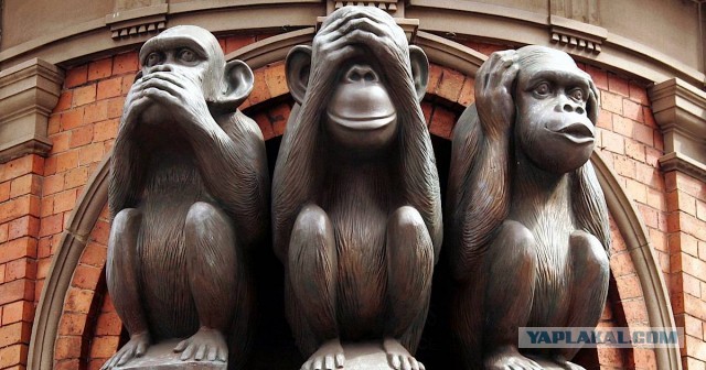 Подростка в Кузбассе оштрафовали за поиск запрещенной информации