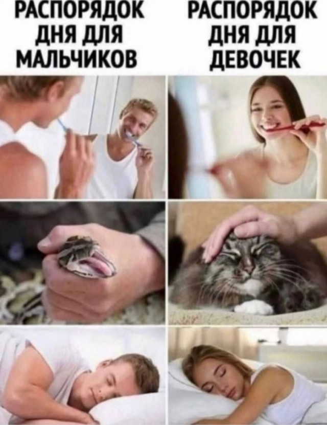 Субботние картинки