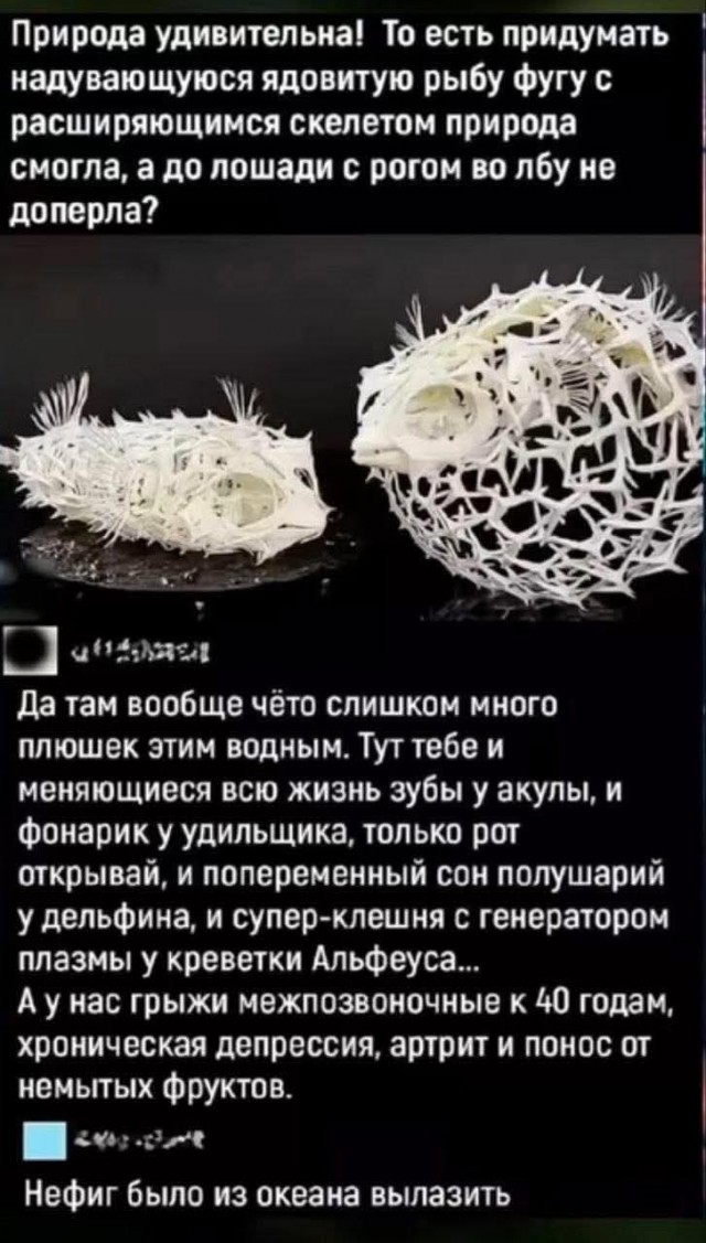 Картиночки, баянчики 09 апреля