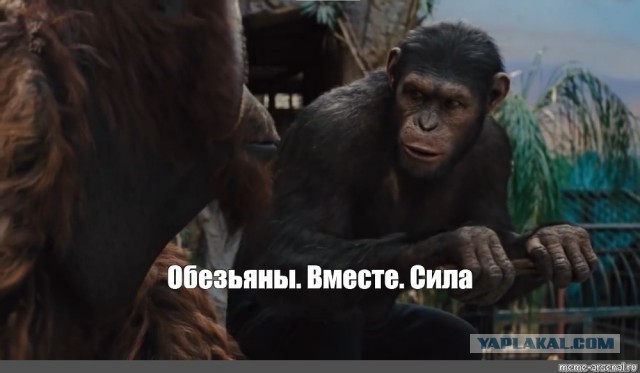 Массовая драка началась после победы российского боксёра в Турции, — СМИ.