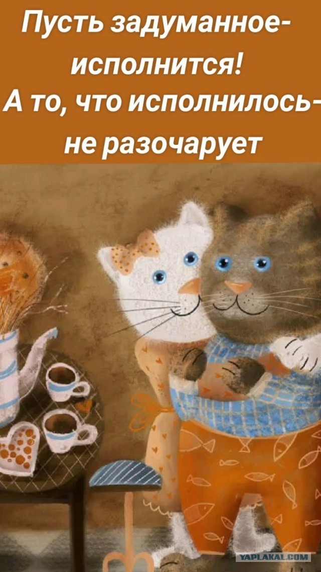 Хочу поделиться радостью