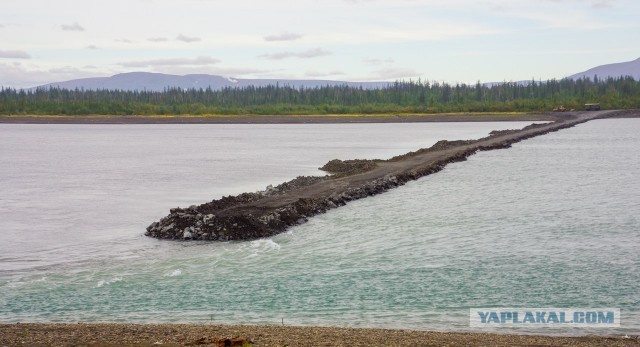 Суровые Норильские дети..