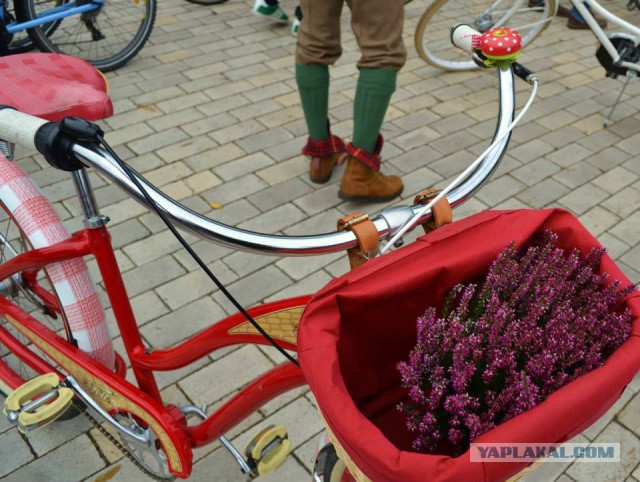 Киевский «Tweed Run» 2013