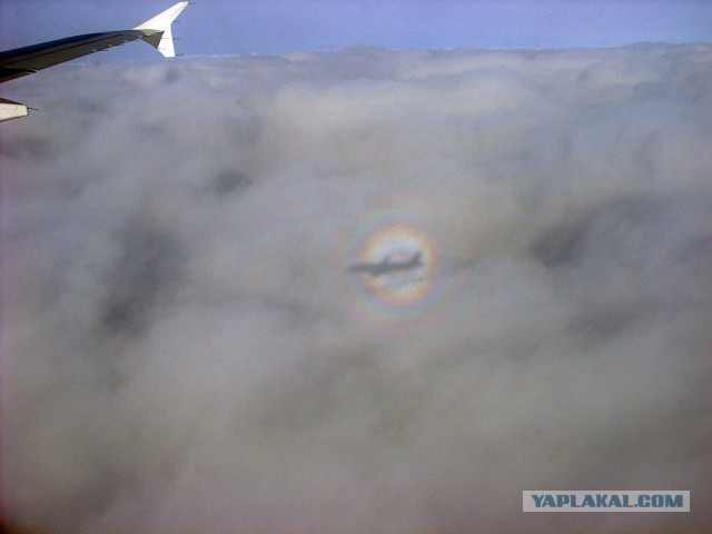 27 причин взять место у окна