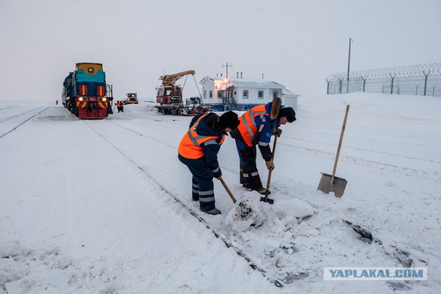 Поезда Рассекают Снег!