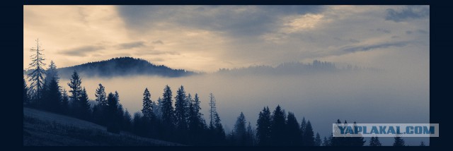 "Мои" Карпаты