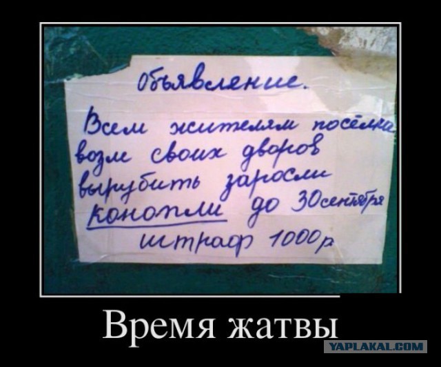 Подборка баянов.